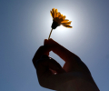 Grief is isolating, but we aren’t alone